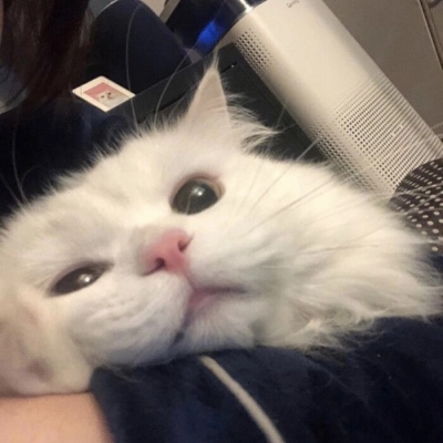 马斯克星链疯狂圈地，中美发射成本倒挂