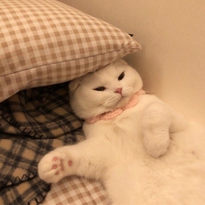 1600万买下爵士1%股份